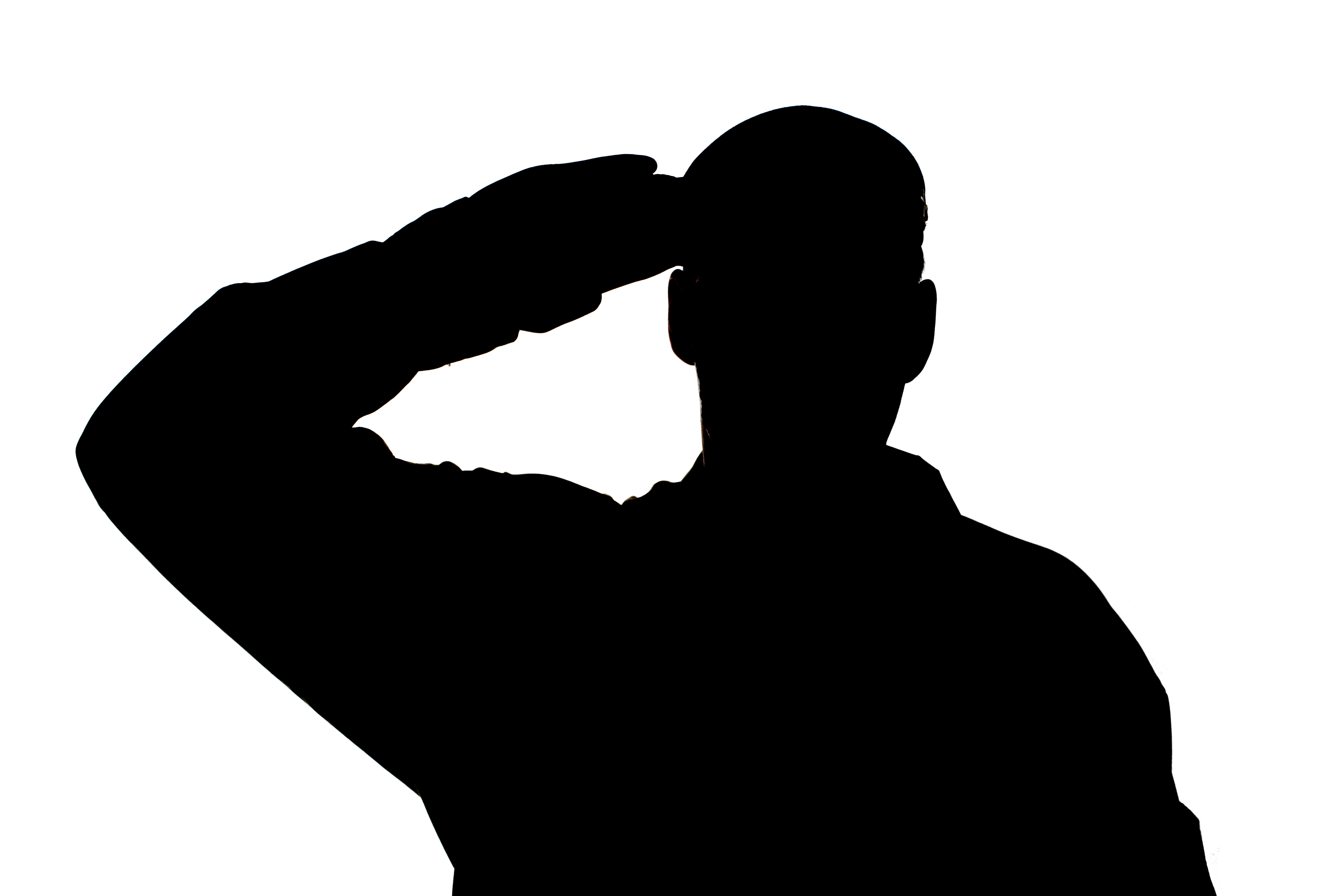 A saluting service member shown in silhouette